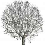 Edelstahlbaum mit 2000 Blätter